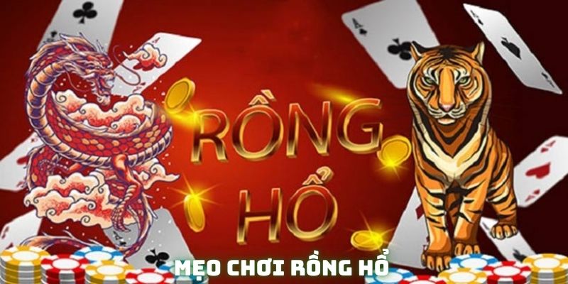 Kinh nghiệm đặt cược Dragon Tiger được nhiều hội viên yêu thích